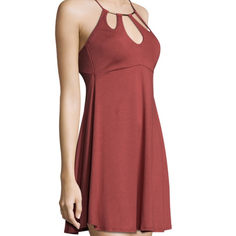 ROBIN PICCONE Calista Rosewood Petal Dress